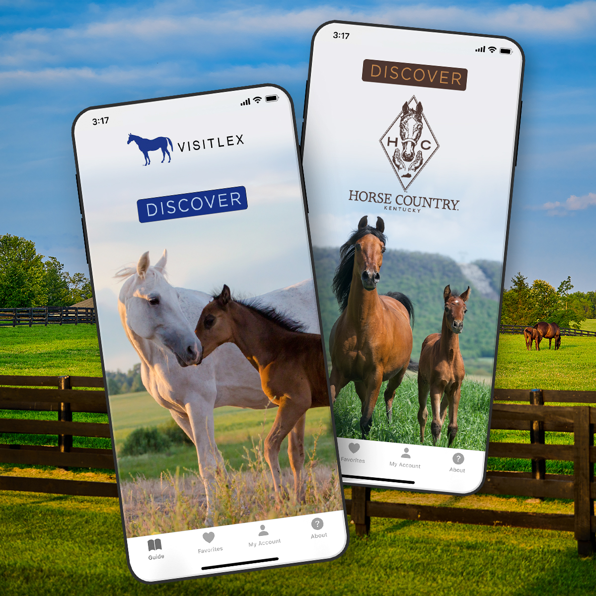 DestinationMedia-Equestrian App Development